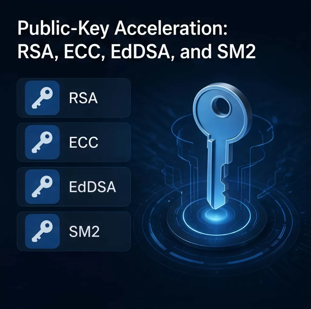 RSA, ECC, EdDSA, and SM2
